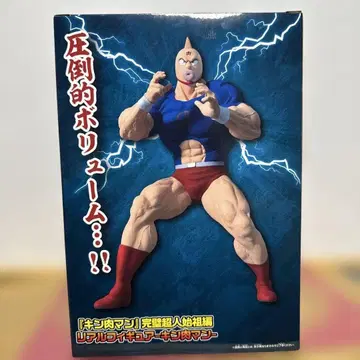 근육맨 근육맨 피규어