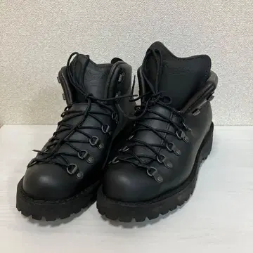 Danner 31520X GORE-TEX
