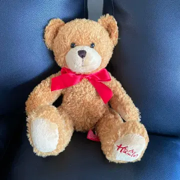 테디베어 봉제 인형