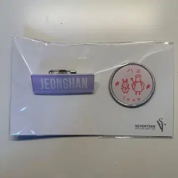SEVENTEEN SVT 돔 투어 정한 와펜 덤 포함