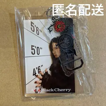 Acid Black Cherry 블루레이 DVD 구매 혜택 키링