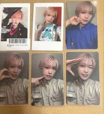 팬더드래곤 타이거 하피카 트레이딩 카드 파라곤