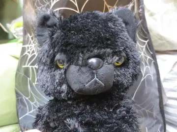 택 포함 너를 따라갈 거야냥 봉제 인형 검은 고양이 65cm!BIG!