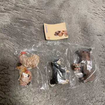 하시모토 미오 브레멘 음악대