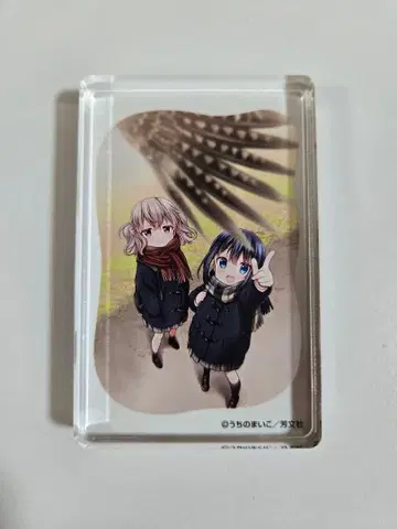 슬로우 루프 아크릴 블록