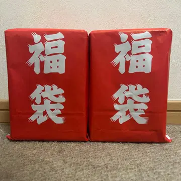 랜덤 피규어