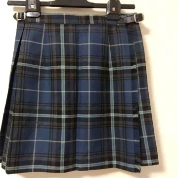 O'NEIL OF DUBLIN 파랑과 블랙 체크 플리츠 스커트 US8