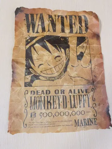 몽키 D 루피 Wanted 포스터