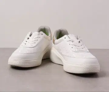 KITSON 레이스 패턴 스니커즈