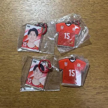 배구 일본 대표 카이 유토 메지루시 참 사진ver. 유니Ver.