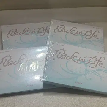 &team 미니cd minicd 4장 미개봉 새상품
