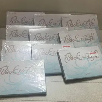 &team 미니cd minicd 10장 미개봉 새상품