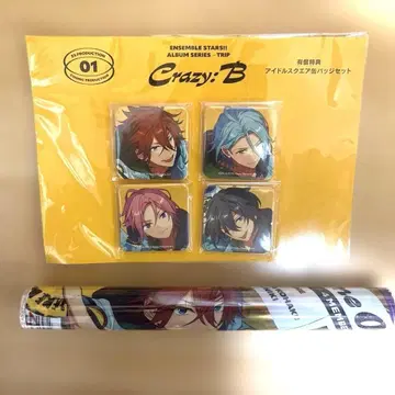 앙스타 Crazy:B 앨범 [TRIP] 캔뱃지, 클리어 포스터