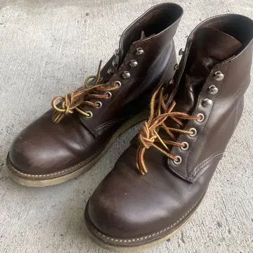 redwing 8134 브라운 하이컷