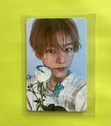 유우시 song bird 트레이딩 카드 NCT WISH