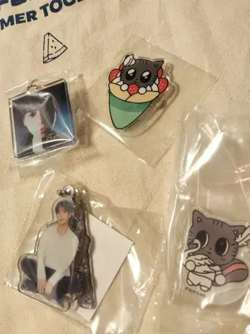 다곤냥 태현 가챠 4세트