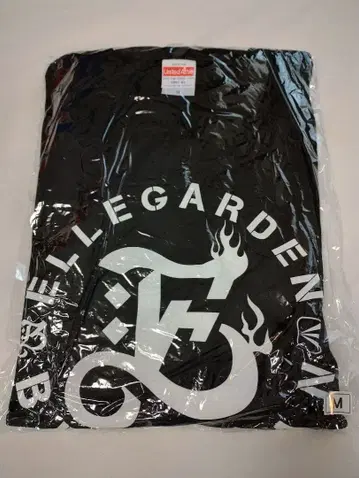 ELLEGARDEN x BRAHMAN W 네임 T셔츠 M 사이즈