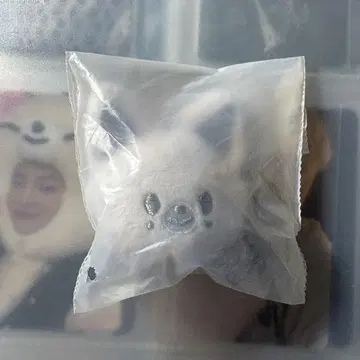 StrayKids 폭시니 아이엔 페이스 키링 봉제 인형