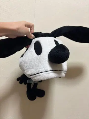 [ Disney ] 오즈왈드 팬캡
