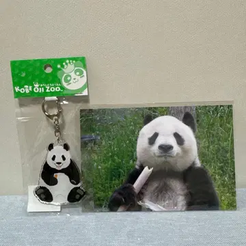 오지 동물원 딸꾹질 탄탄 키링과 엽서 세트