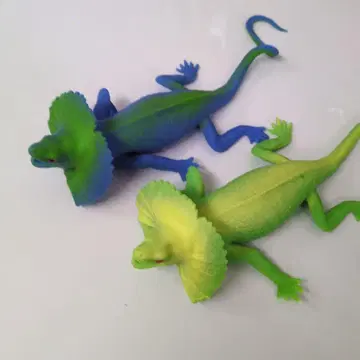 목도리도마뱀 2개 세트