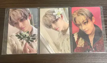 니키 ORANGE BLOOD