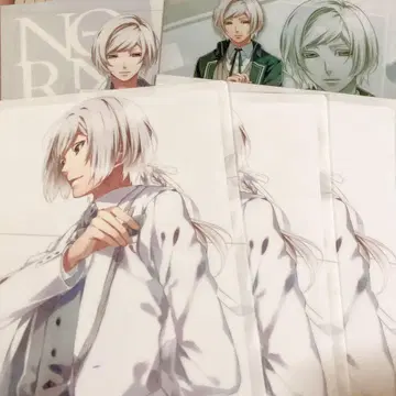 노른노넷 니죠 사쿠야 클리어 파일 묶음 판매