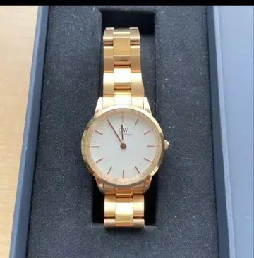 다니엘 웰링턴 골드 시계