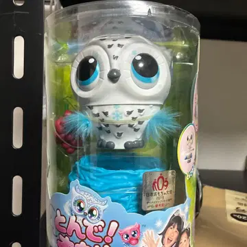 올빼미 완구 톤데오리