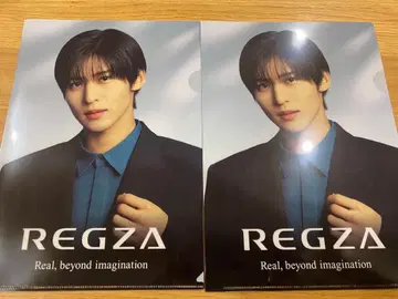 메구로 렌 REGZA 클리어 파일 2장 세트