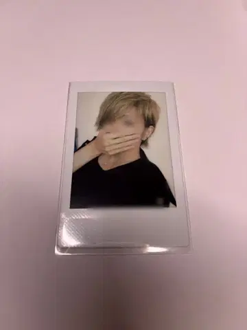 사쿠라 군 홑꺼풀 폴라로이드