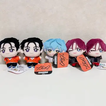 카리스마 누이프리케 5체 세트