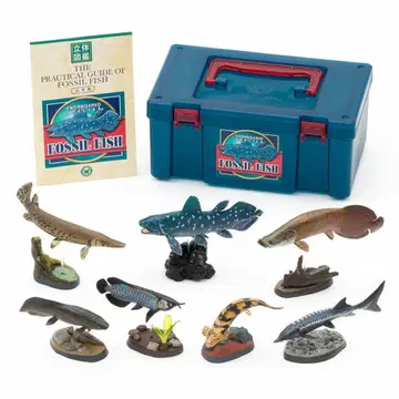 입체 도감 화석어 피규어 세트 7체 가이드북 포함