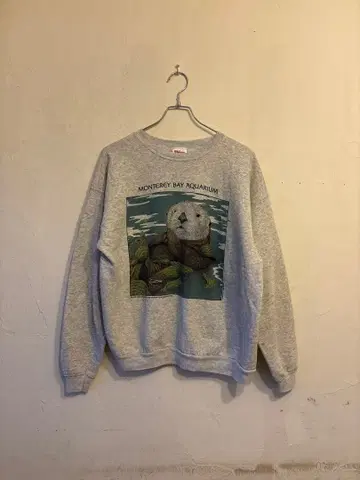 Hanes USA제 90s 랏코 패턴 맨투맨