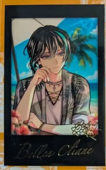 악마고양이 베렌 폴라로이드