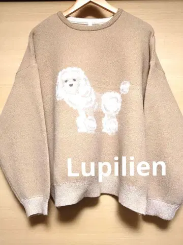 Lupilien 자카드 니트 강아지 패턴 푸들 F