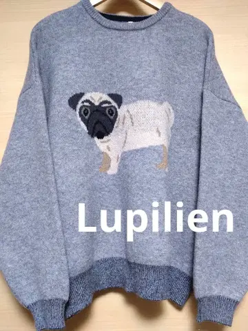Lupilien 자카드 니트 강아지 패턴 퍼그 F
