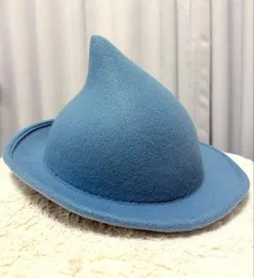 [ 워너 브라더스 공식 ] 보바통 햇