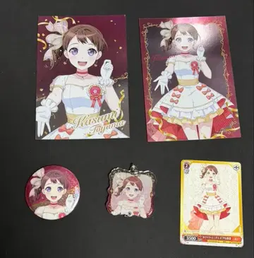 뱅드림 애니메이트 드림 페어 2025 토야마 카스미