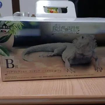 파충류 1번 복권 B상 비어디드래곤