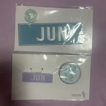 세븐틴 준 와펜 배지