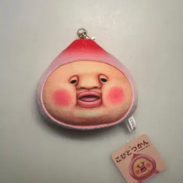 카쿠레모모지리 패스 케이스