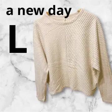 a new day L 사이즈 맨투맨