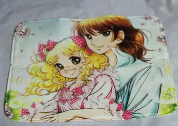 약 58cm 40cm 룸 매트 리빙 매트 미사용 새상품