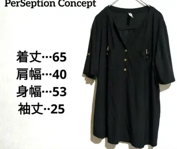 PerSeption Concept 블랙