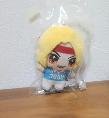 남코 휘슬! WHISTLE 쵸코토모 봉제 인형 사토 세이키