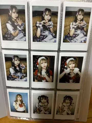 시폰 (구 후르츠 펀치) 폴라로이드 11장