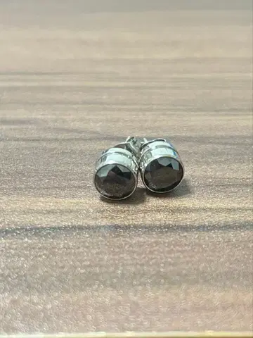 패싯 컷 블랙 스터드 귀걸이 s.steel
