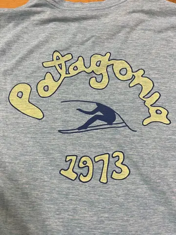 Patagonia 롱 슬리브 T셔츠 캐플린