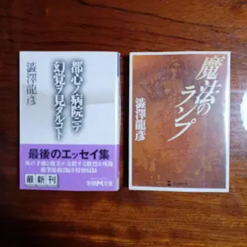 시부사와 타츠히코 학연 M 문고 2권 세트입니다.